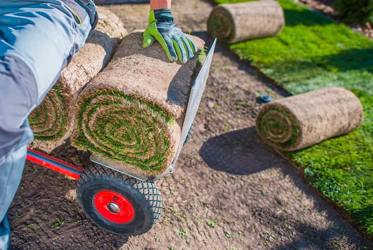 Commercial Landscaping